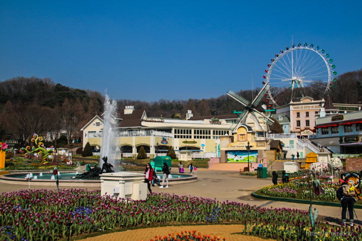 에버랜드 튤립축제장 전경