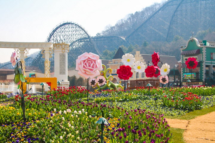 장미정원에 마련된 튤립축제장