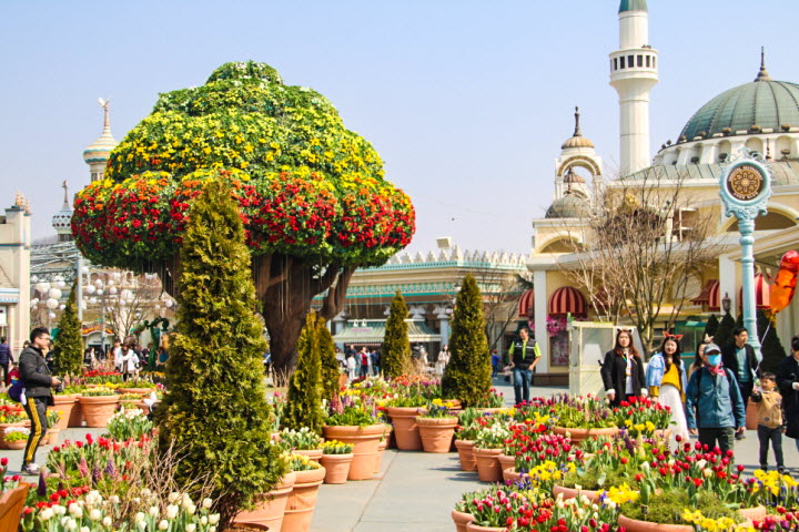 브로콜리 모양의 매직트리