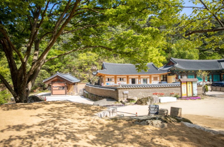 충북의 설악, 천태산에 자리잡은 영국사 템플스테이 · 우리소리국악공연 · 옥계폭포