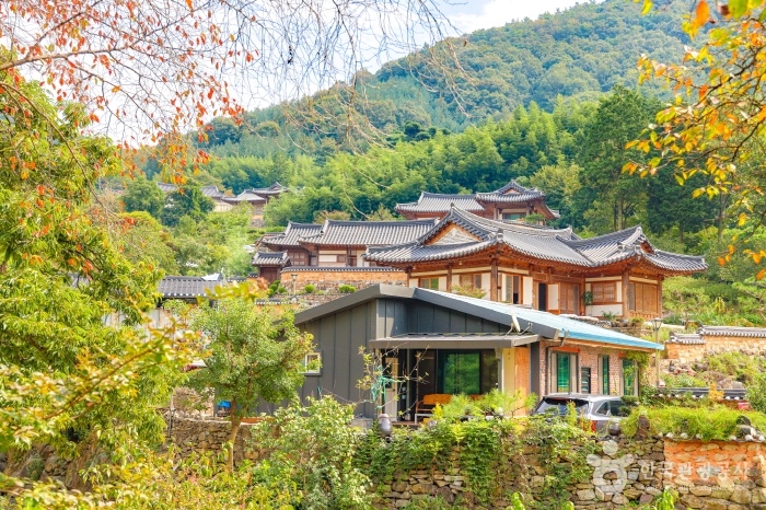 (11월15일) BTS도 반한 느림의 매력! 완주 슬로우 미식 여행