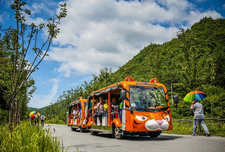 (천혜의 자연 숲속 기차여행, 봉화) 백두대간수목원 · 목재문화체험장, 봉화