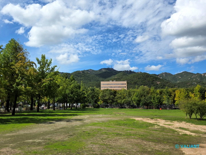 [지하철/광역전철 역사 탐방] 첫 서울 분산 시도 - 서울 4호선 정부과천청사역