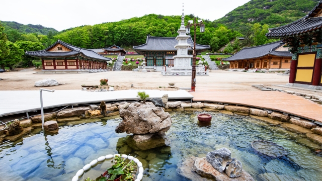 단양팔경의 품 안에 자리한 천년 고찰, 미륵대흥사 템플스테이 · 도담삼봉 · 구경시장