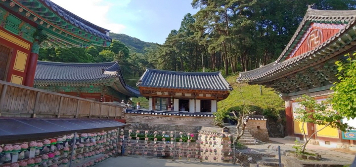 (여름으로 가는 공주) 동학사길 걷고, 족욕하고, 달콤 감성 야시장 여행