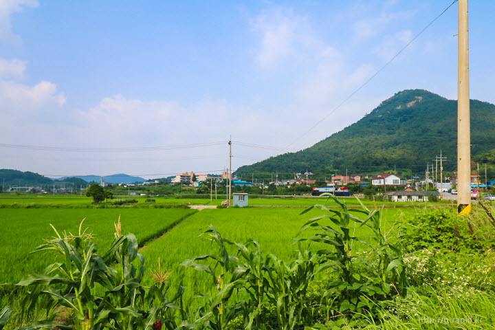 원창역이 있는 별량면 전경