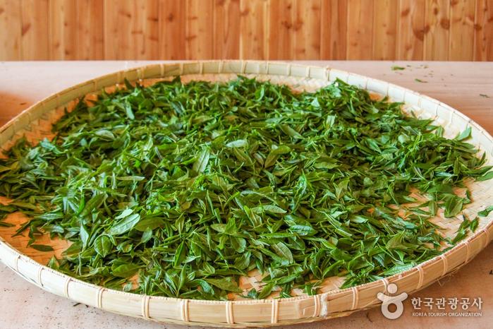 해외철도여행 - 철도산업정보센터